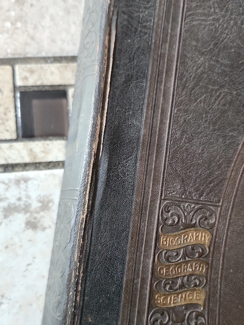 The Volume Library Leather Book By Abram Royer Brubacher 1924 Copyright